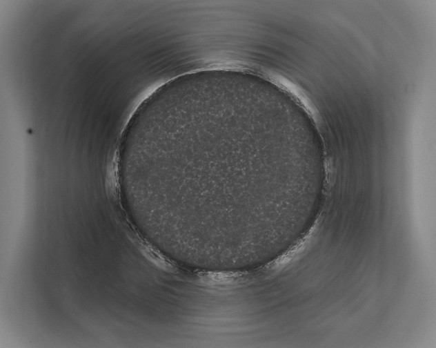 X0000111460875200908031337