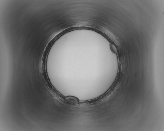 X0000111460876200908031337