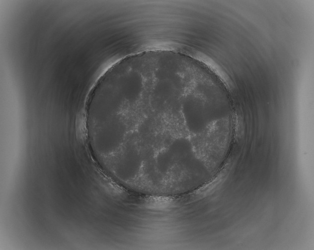 X0000111460878200908031337