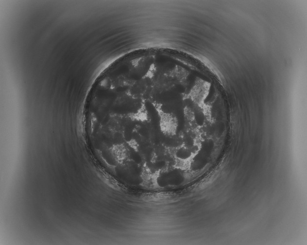 X0000111460879200908031337