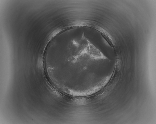 X0000111460882200908031337