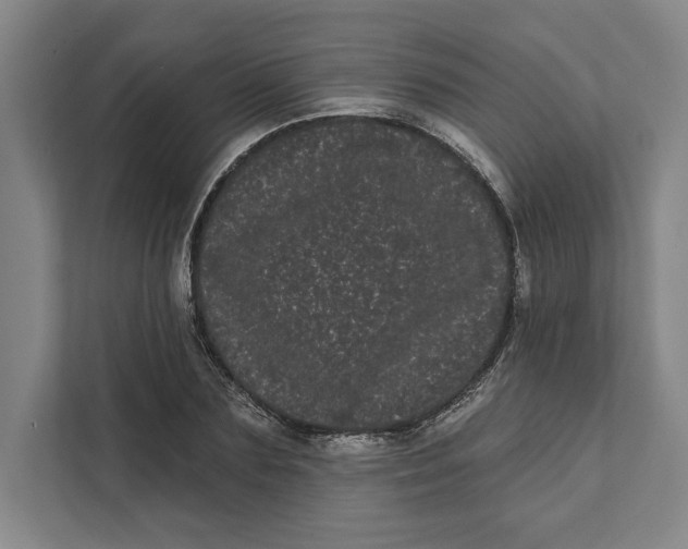 X0000111460883200908031337