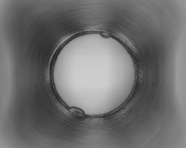 X0000111460884200908031337