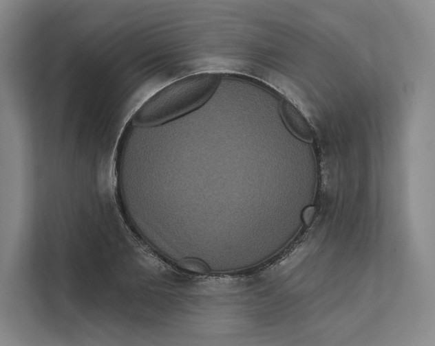 X0000111460885200908031337