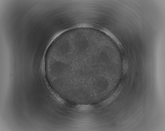 X0000111460886200908031337