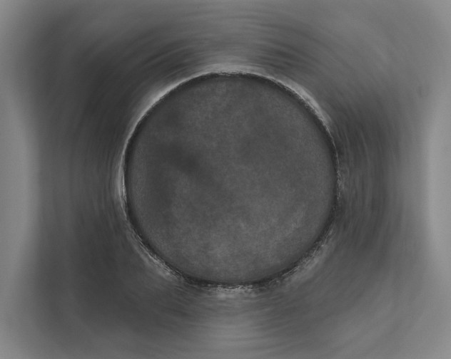 X0000111460887200908031337