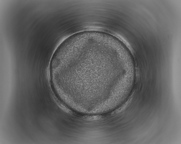 X0000111460891200908031337