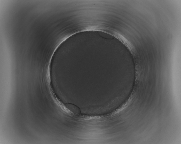 X0000111460892200908031337