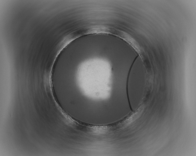 X0000111460893200908031337