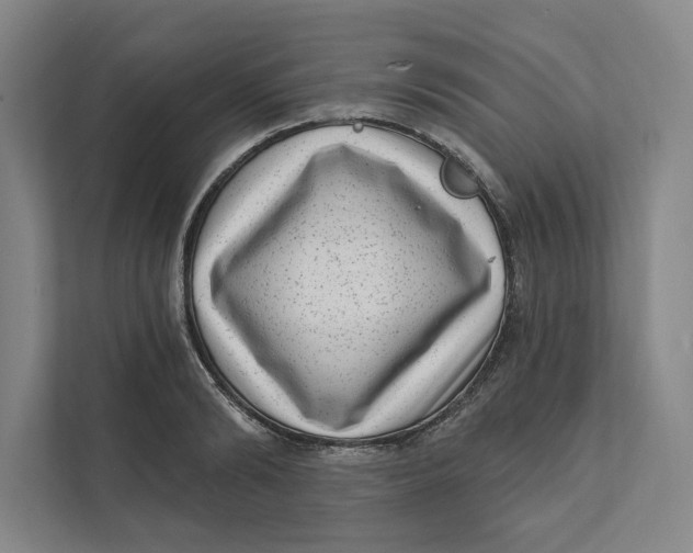 X0000111460894200908031337