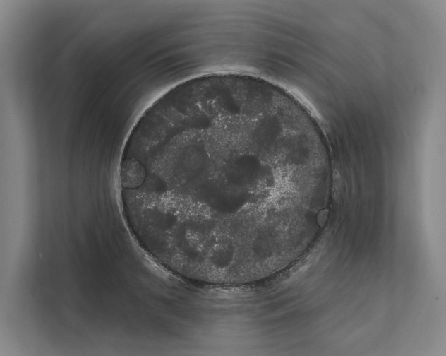 X0000111460895200908031337