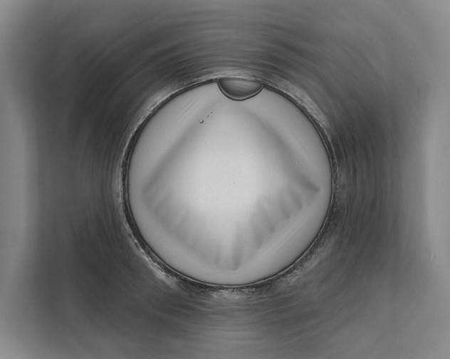 X0000111460898200908031337