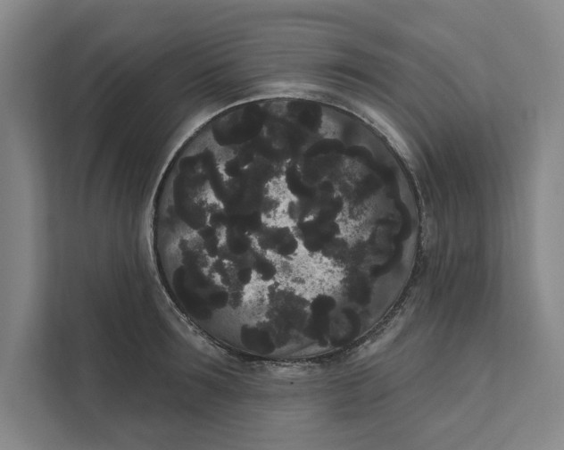 X0000111460899200908031337