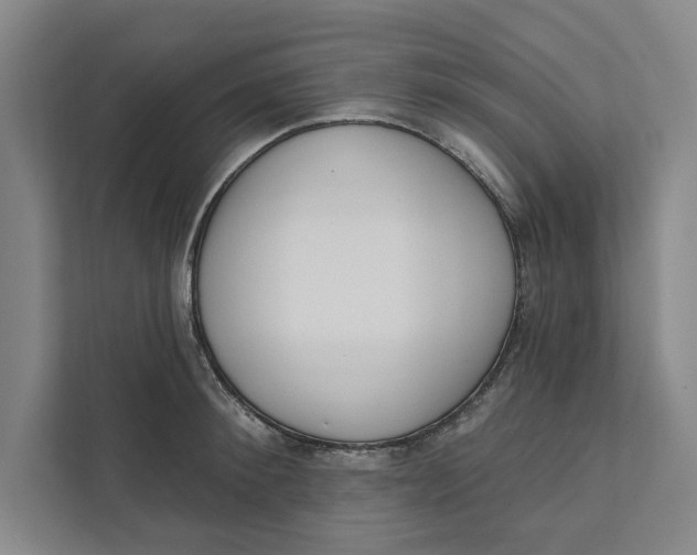 X0000111460900200908031337