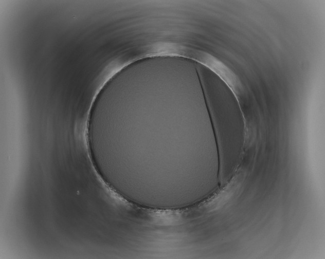 X0000111460901200908031337