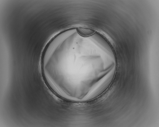 X0000111460902200908031337