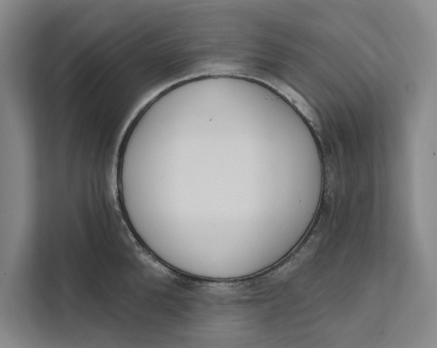 X0000111460904200908031337