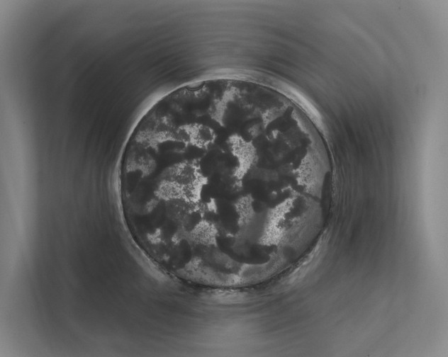 X0000111460907200908031337