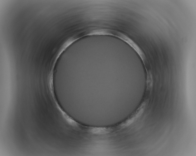 X0000111460909200908031337