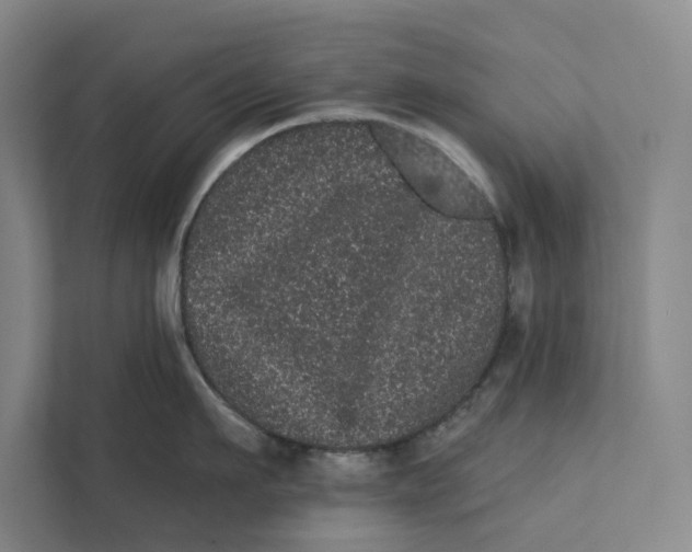 X0000111460911200908031337