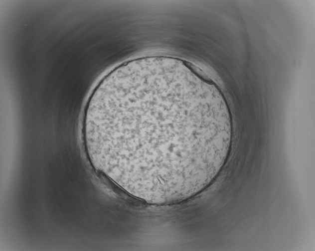 X0000111460912200908031337