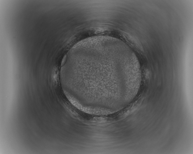 X0000111460914200908031336