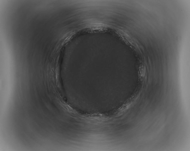 X0000111460916200908031336