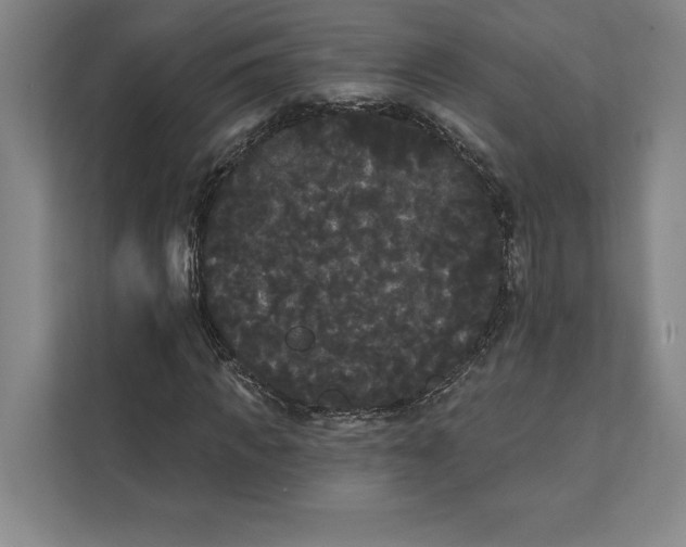 X0000111460917200908031336