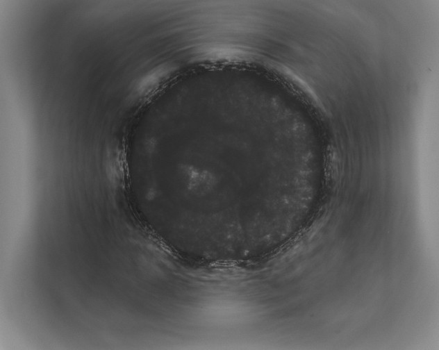 X0000111460918200908031336