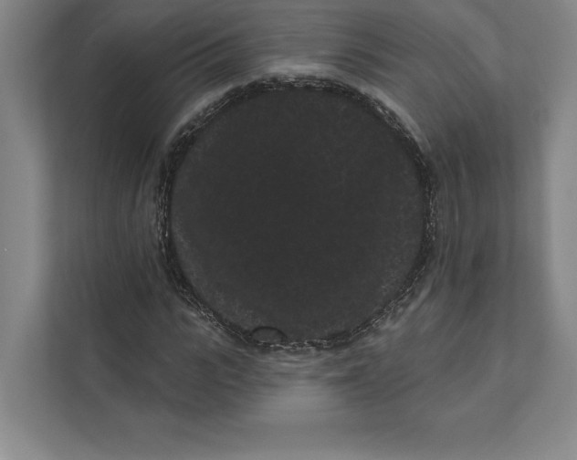 X0000111460919200908031336