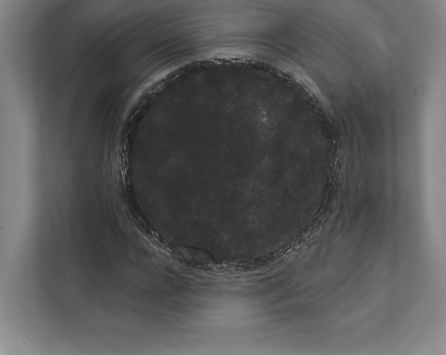 X0000111460920200908031336