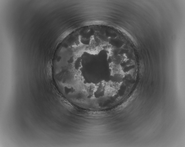 X0000111460921200908031336