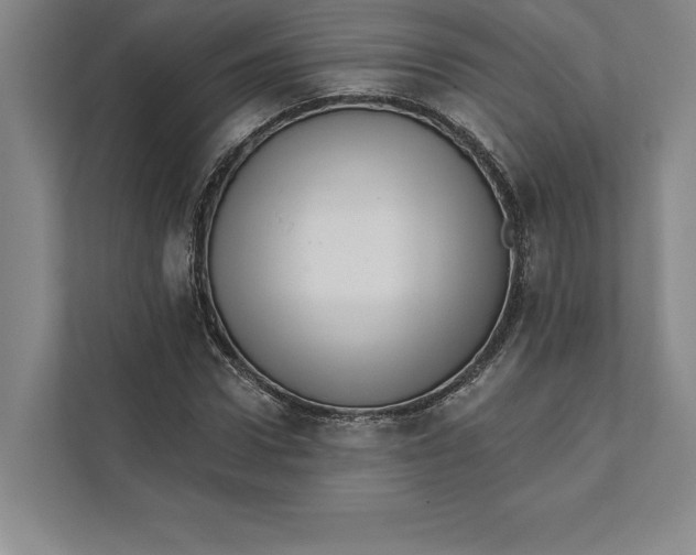X0000111460922200908031336