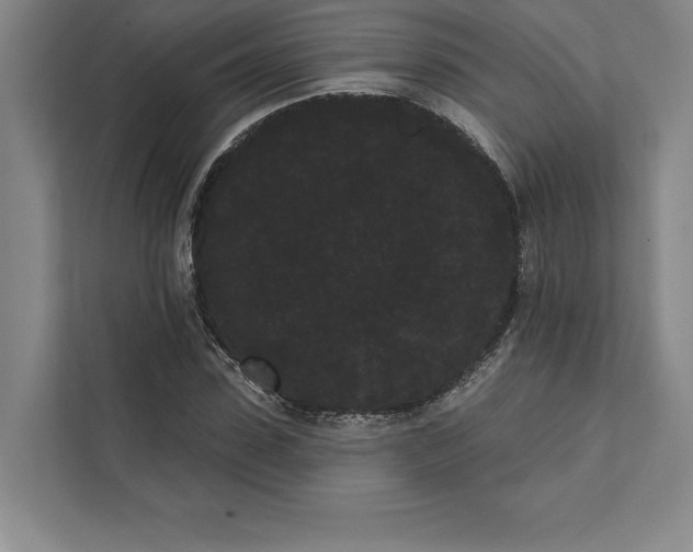 X0000111460923200908031336