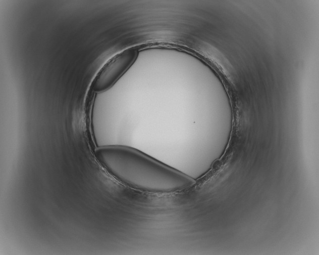 X0000111460924200908031336