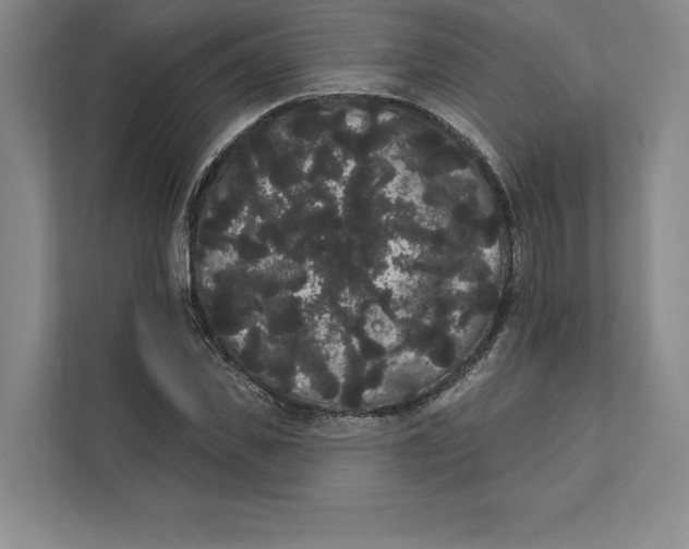 X0000111460925200908031336