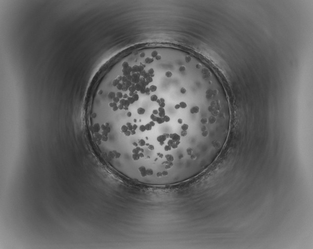 X0000111460928200908031336