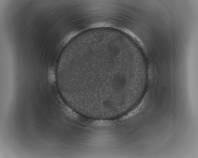 X0000111460929200908031336