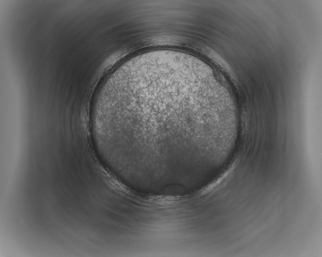 X0000111460930200908031336