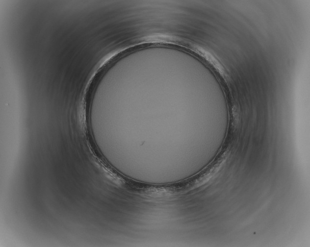 X0000111460931200908031336