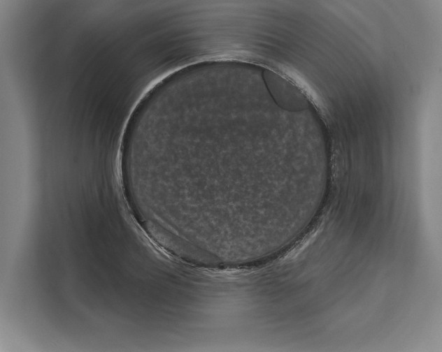 X0000111460932200908031336