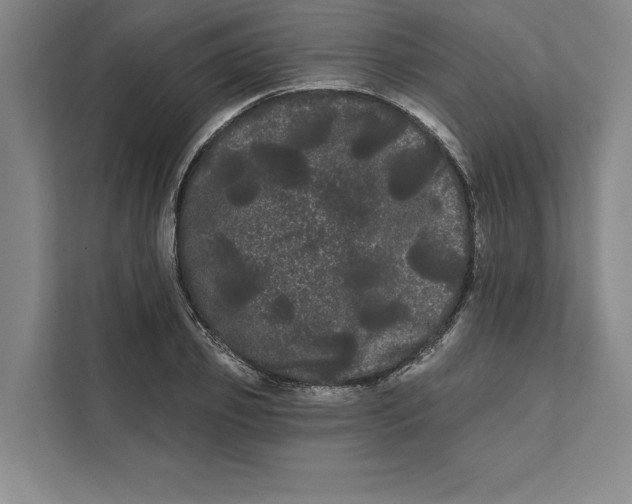 X0000111460933200908031336