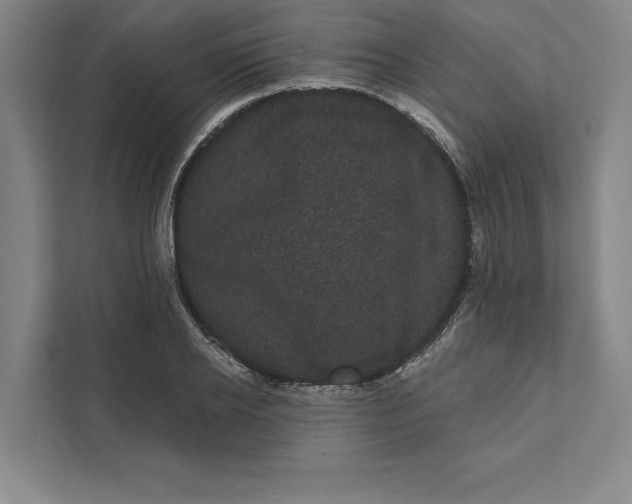 X0000111460934200908031336