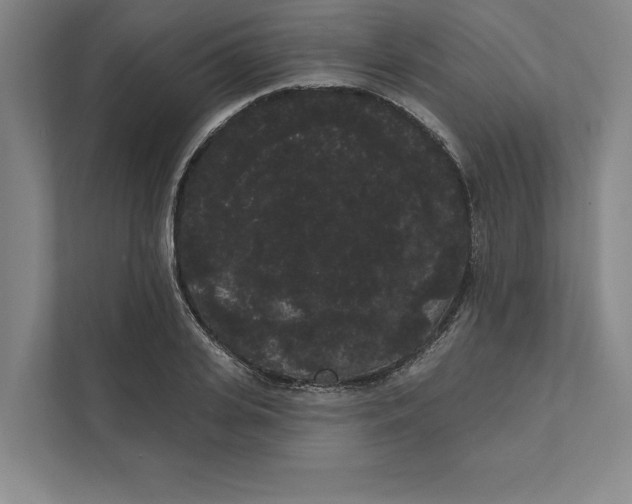 X0000111460935200908031337