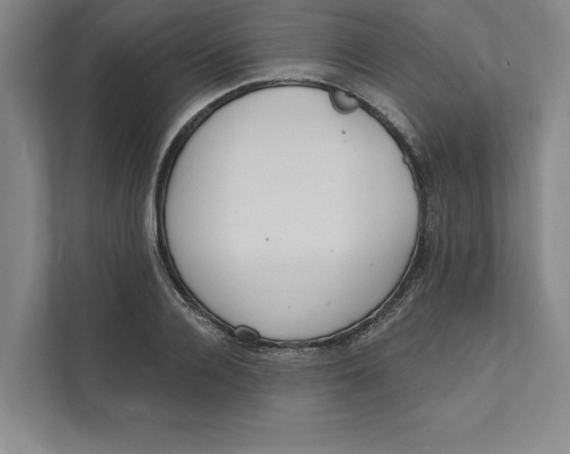 X0000111460936200908031337