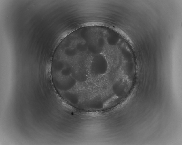X0000111460937200908031337