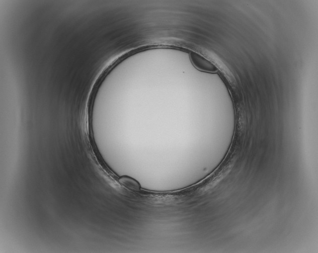 X0000111460940200908031337