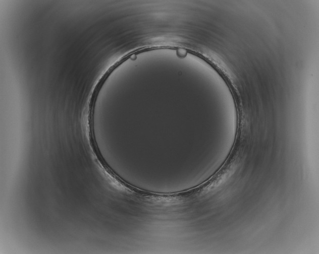 X0000111460941200908031337