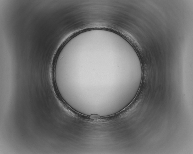 X0000111460942200908031337