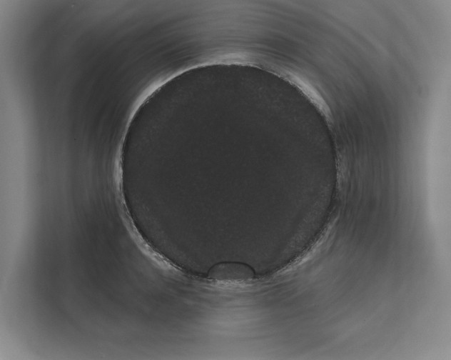 X0000111460944200908031337